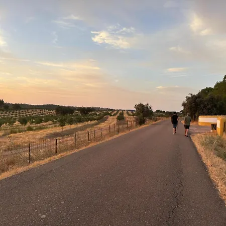 Herdade Dos Calvinos, Monte 2 - Alandroal Parreiras