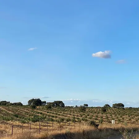 Herdade Dos Calvinos Eco-monte Barreiras (Sao Jorge)