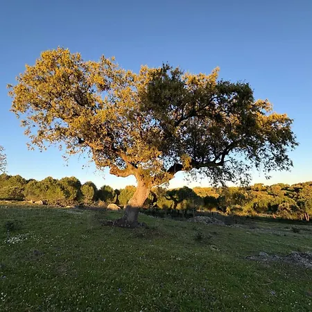 Casa vacanze Herdade Dos Calvinos Eco-monte *