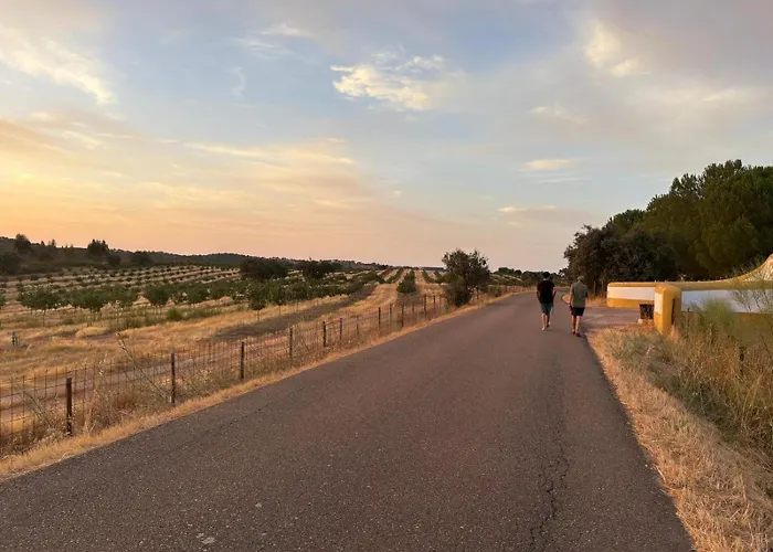 Herdade Dos Calvinos Eco-monte Barreiras (Sao Jorge)