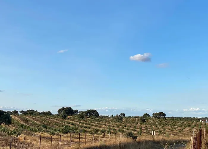 Herdade Dos Calvinos Eco-monte Barreiras (Sao Jorge)
