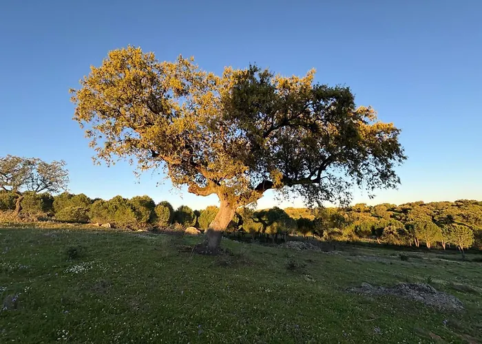 Casa vacanze Herdade Dos Calvinos Eco-monte *